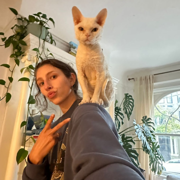 Mewow Kitty Sitter