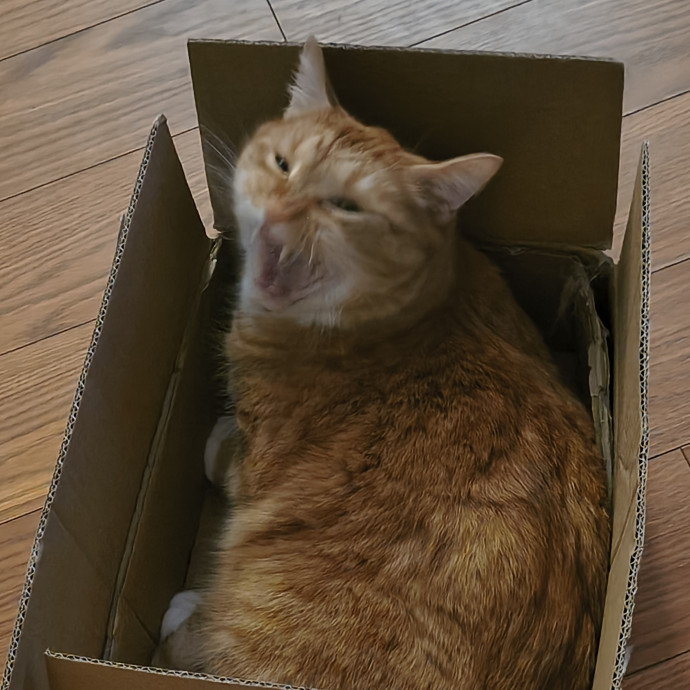 Danny's Cat Care