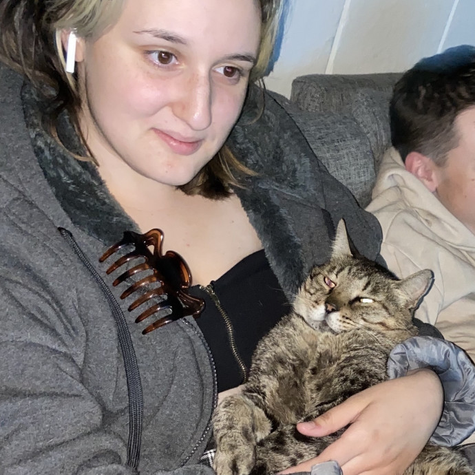 At Your Cat's Beck And Call