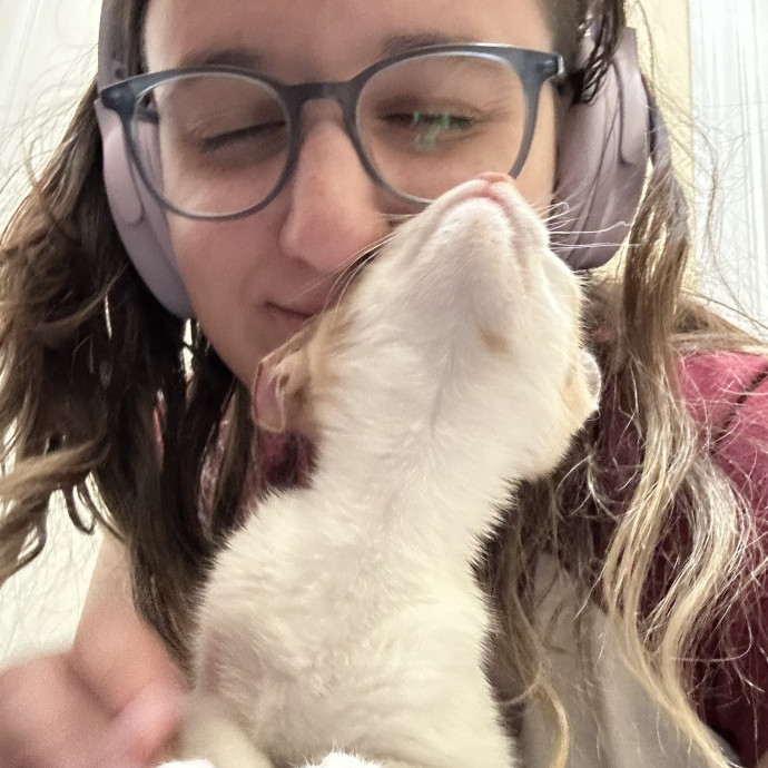 At Your Cat's Beck And Call