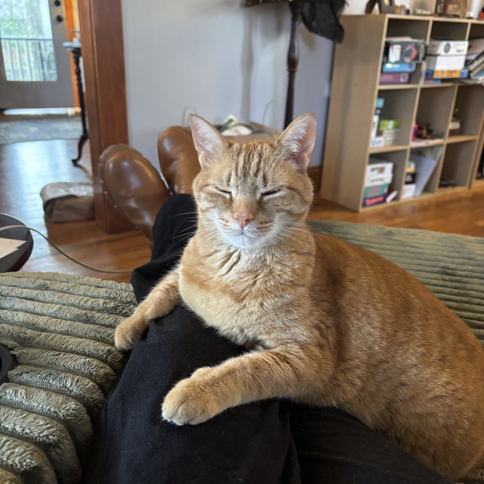Gentle Reliable Loving Care