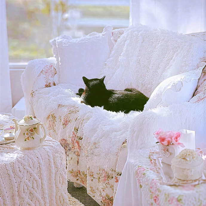 Pennie The Cat Nanny