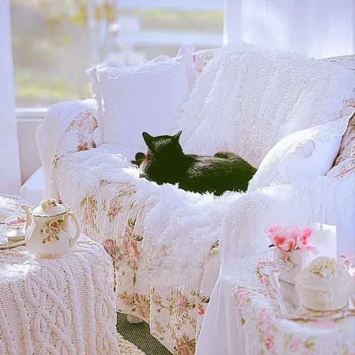 Pennie The Cat Nanny