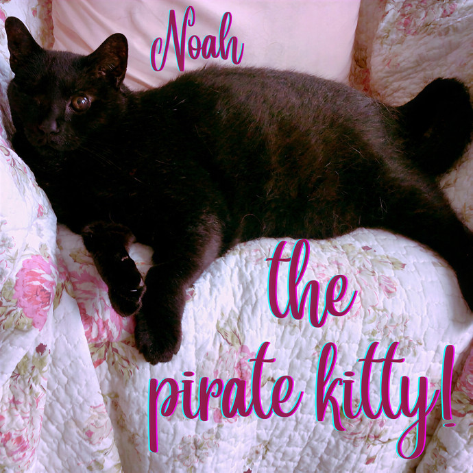 Pennie The Cat Nanny