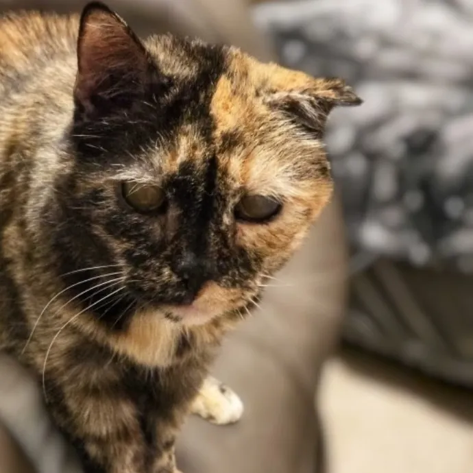 Pennie M.