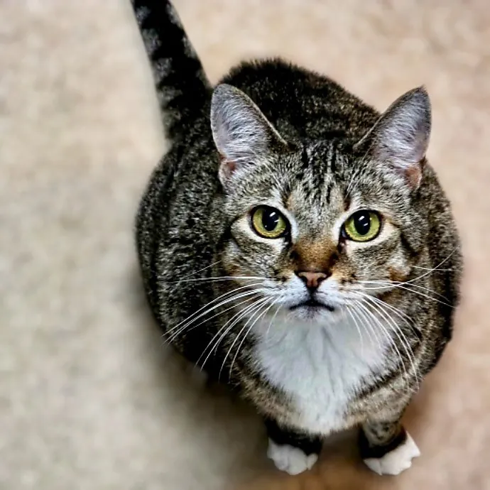 Pennie M.