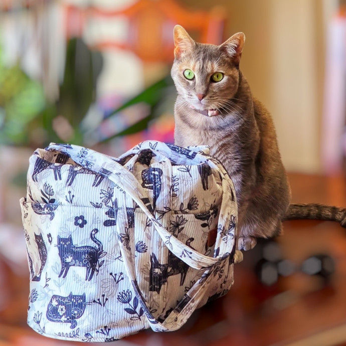 Pennie The Cat Nanny