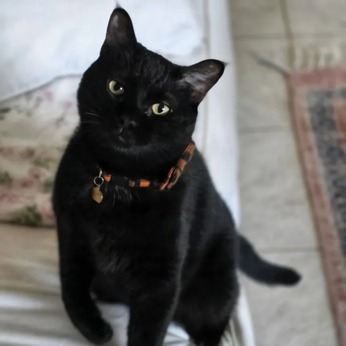 Pennie M.