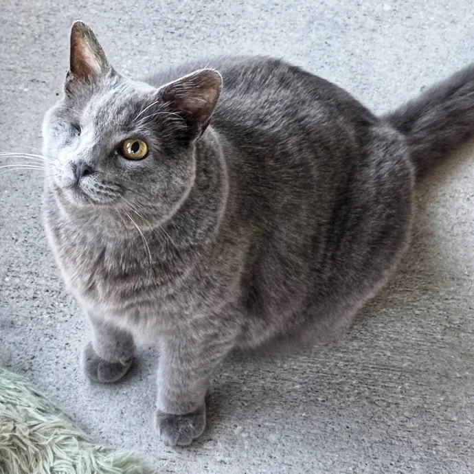 Pennie M.