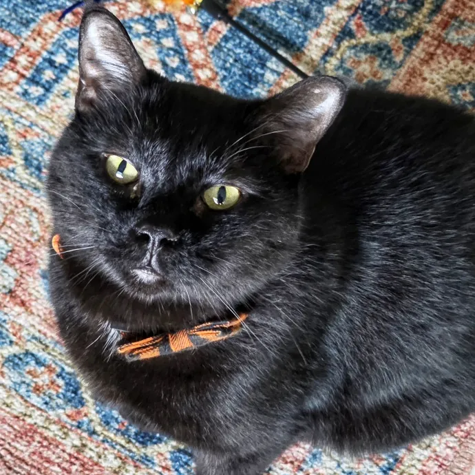 Pennie M.