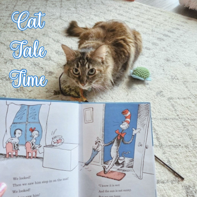 Pennie The Cat Nanny photo 2
