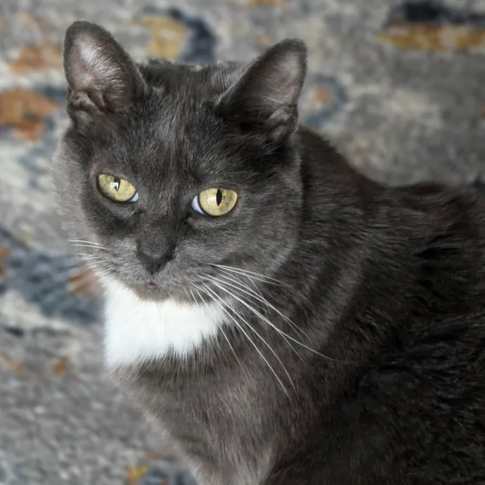Pennie M.