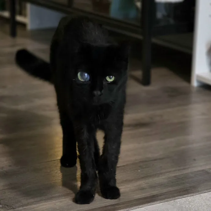 Pennie M.