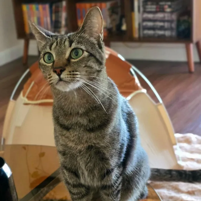 Pennie M.