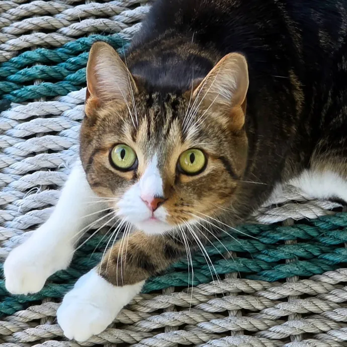 Pennie M.