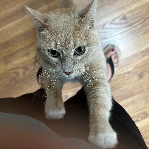 Photo Photo