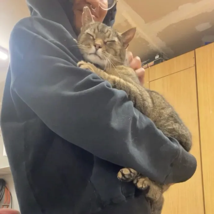 Certified Cat Lover Trusted House Sitter