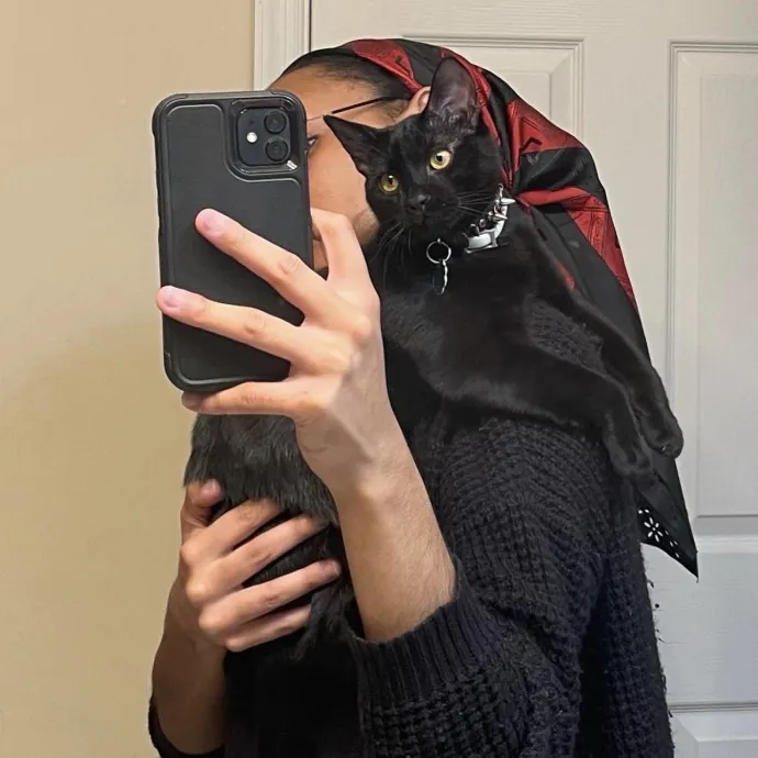 Certified Cat Lover Trusted House Sitter