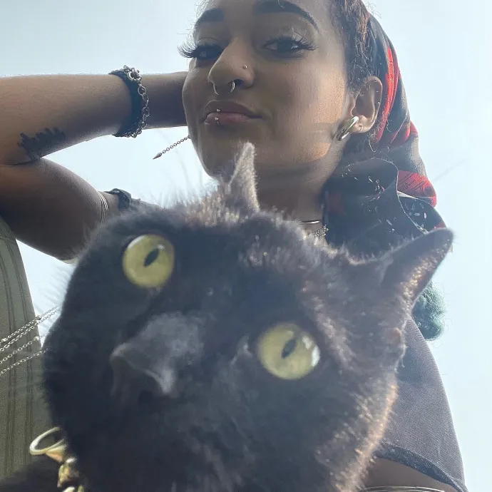 Certified Cat Lover Trusted House Sitter