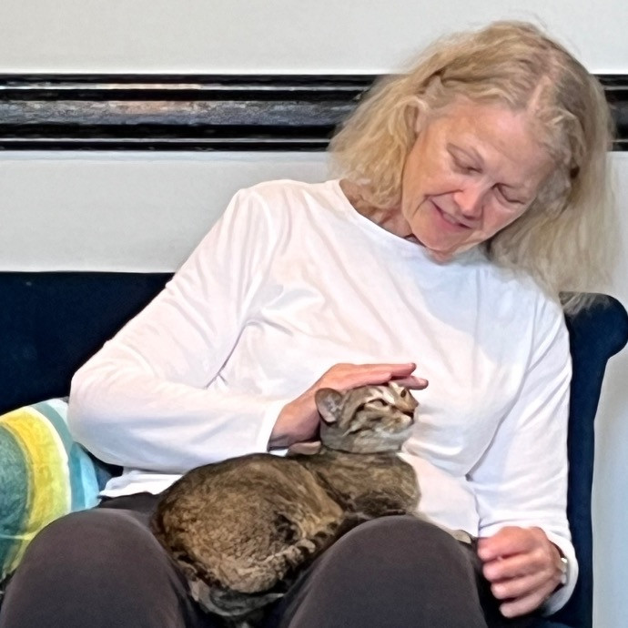 Cami's Kitty Care