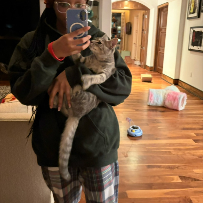 Experienced  Caring Cat Enthusiast