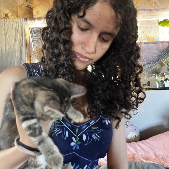 Moonmeow Cat Care