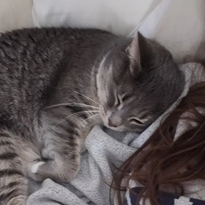 Cat Mom On Call photo 2