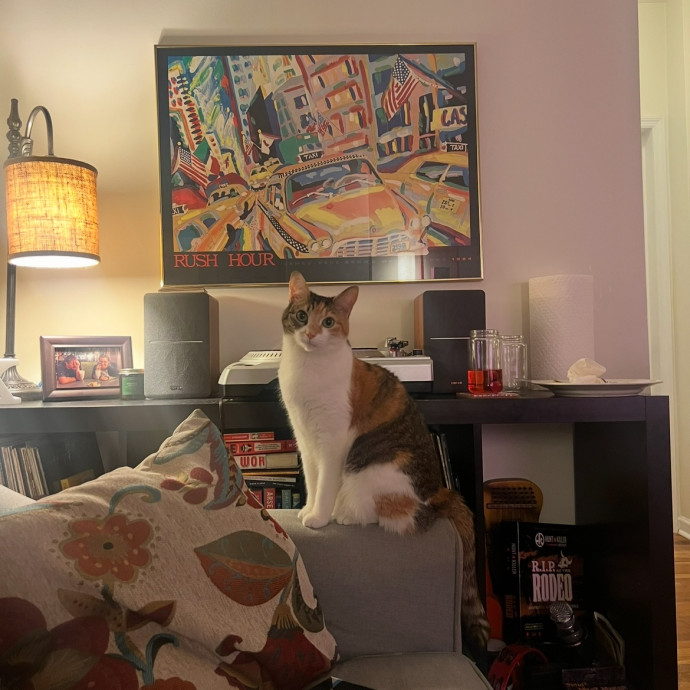 Dedicated Cat Caretaker