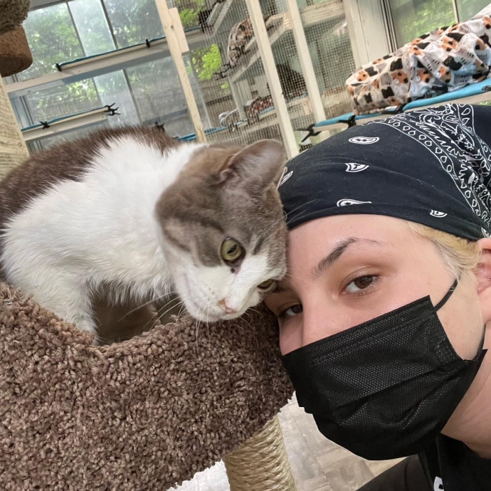Dedicated Cat Caretaker
