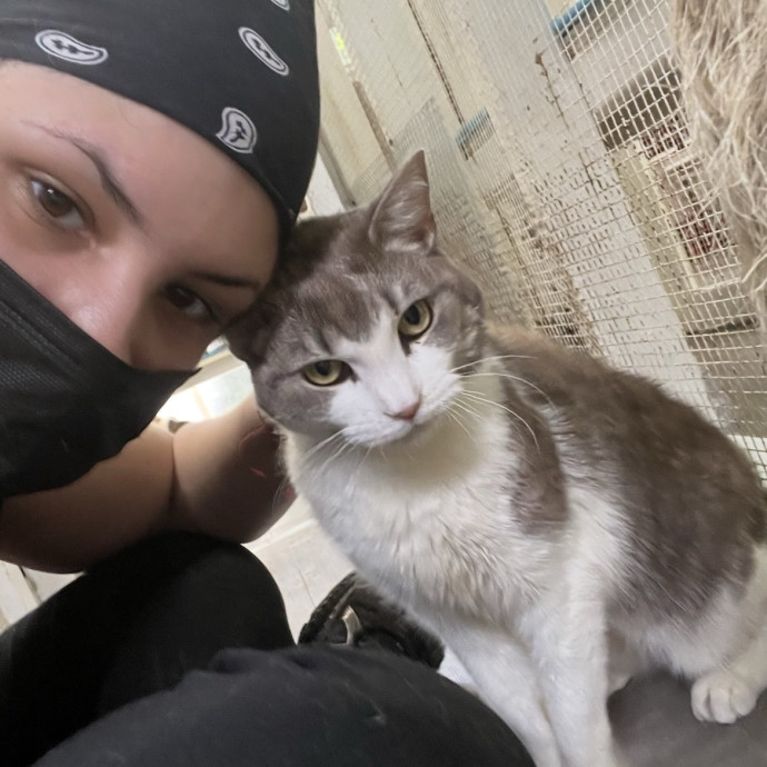 Dedicated Cat Caretaker