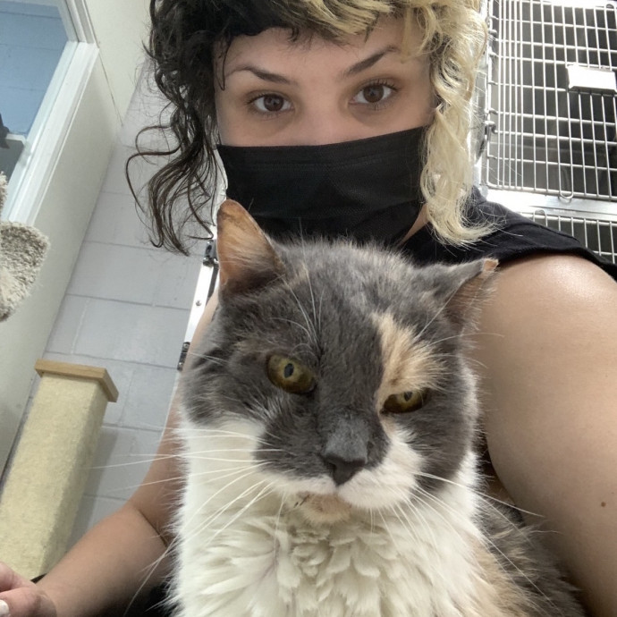 Dedicated Cat Caretaker
