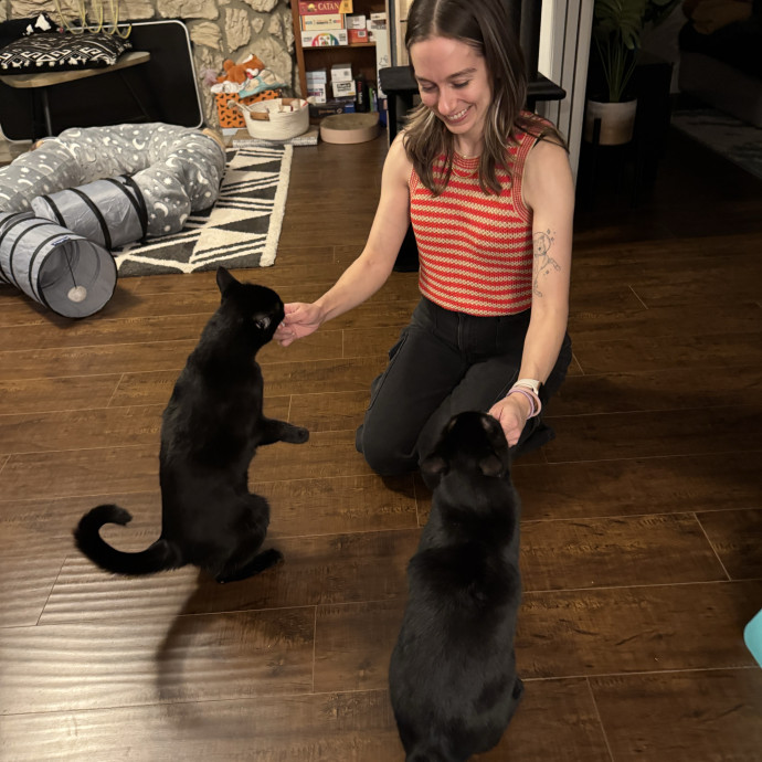 Sarah's Happy Cat Care