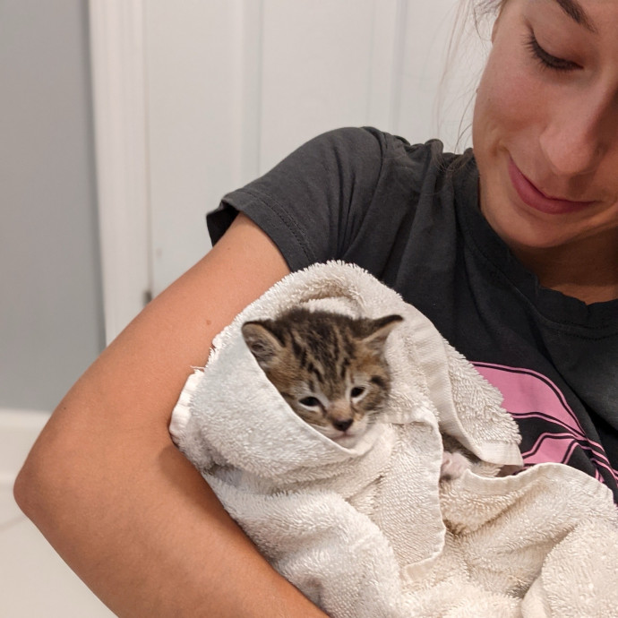 Sarah's Happy Cat Care photo 2