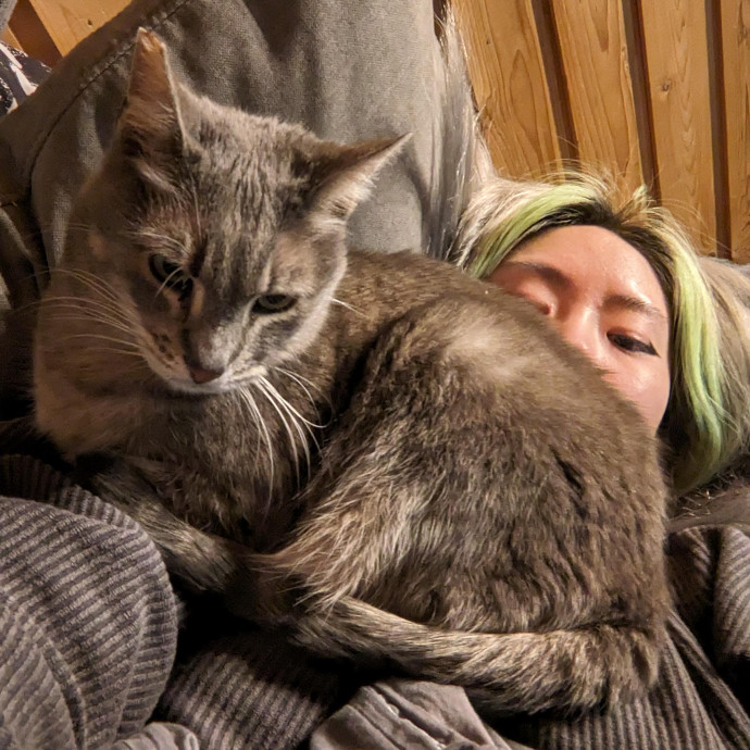 Meow Time With Emmeow photo 3