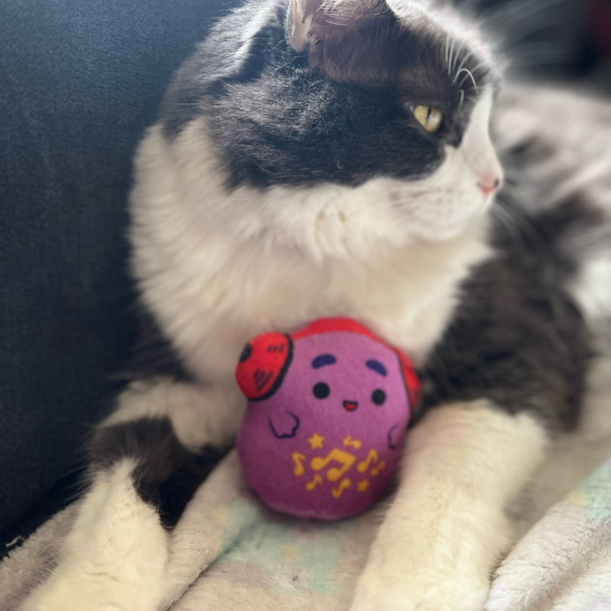 Loving Cat Mom Ready To Love Your Kitty photo 3