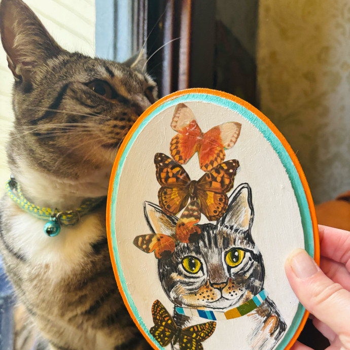 Friend Of Felines Tacoma Cat Sitting