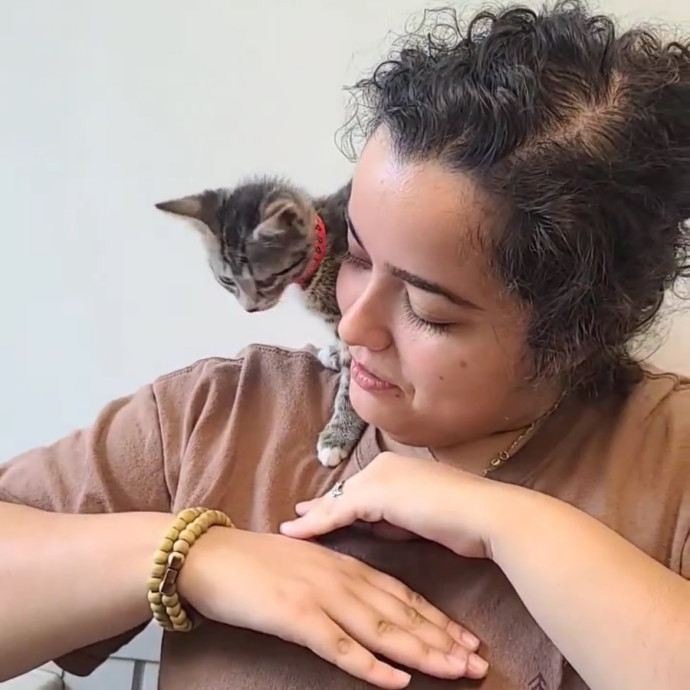 Reliable And Dedicated Cat Sitter photo 2