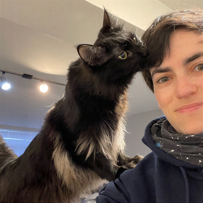 Rachel's Cat Sitting-Pflugerville Tx