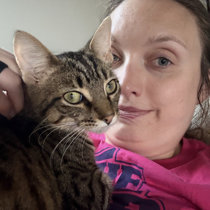 Jen's Feline Friends