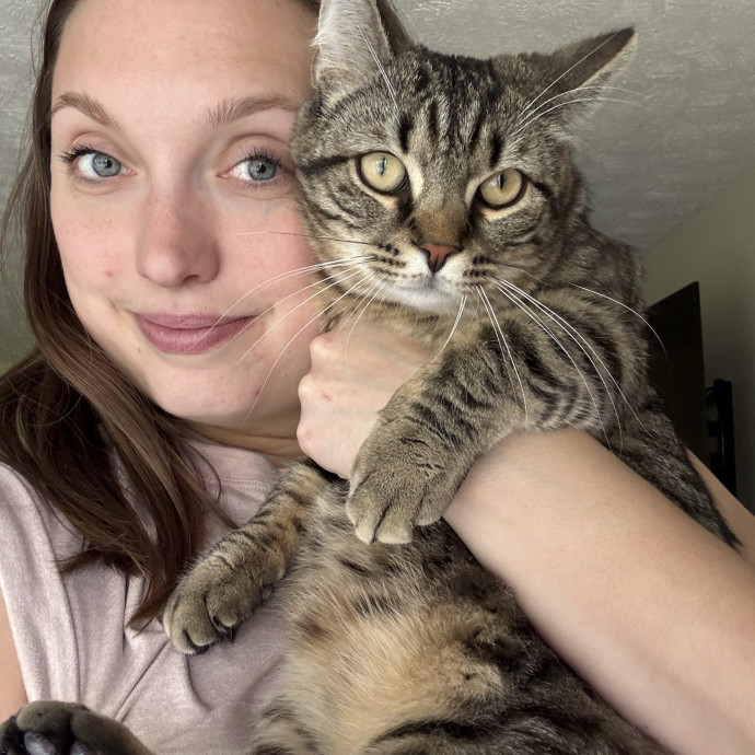 Jen's Feline Friends