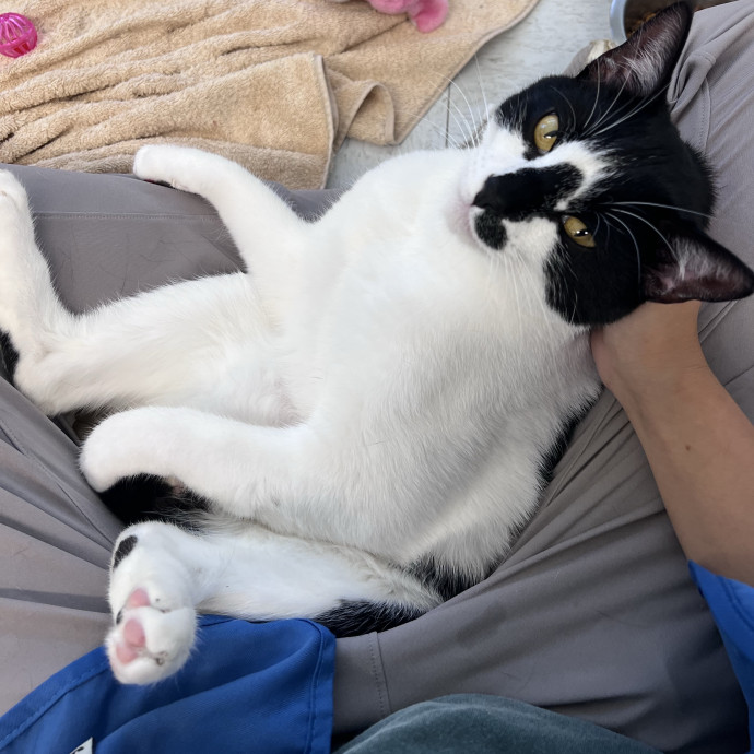 Experienced And Caring Sitter
