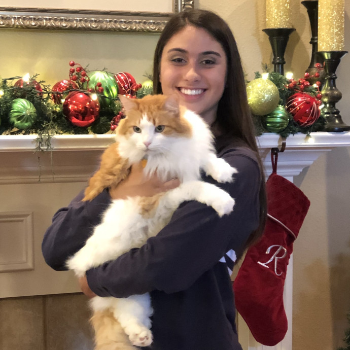 Experienced And Caring Sitter photo 2