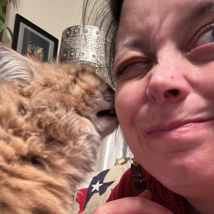 Kitty Comforts - Northwest Dfw Metro photo 3