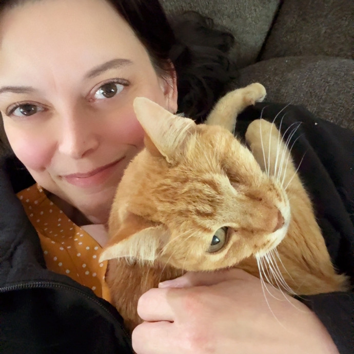 Kitty Comforts - Northwest Dfw Metro photo 2