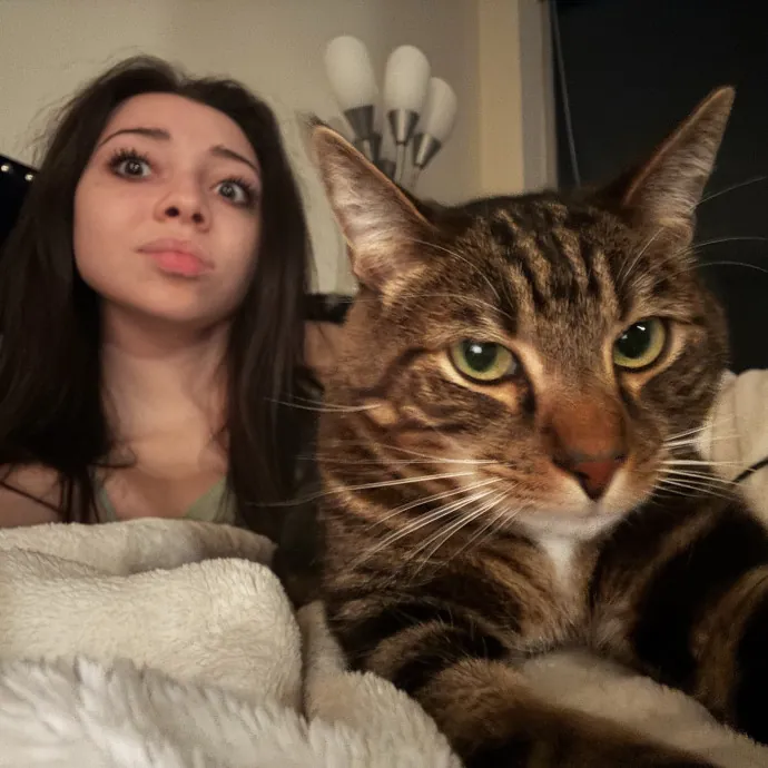 Tender Care For Feline Souls