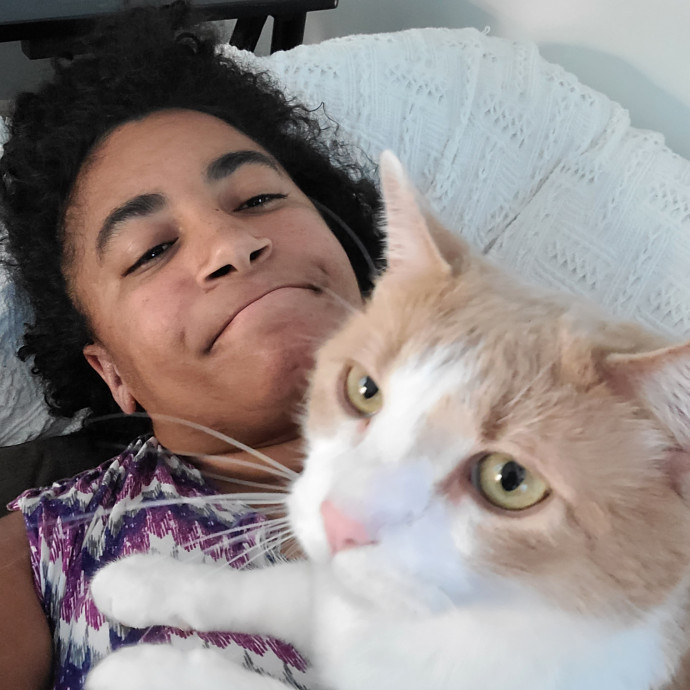 In Purrfect Harmony
