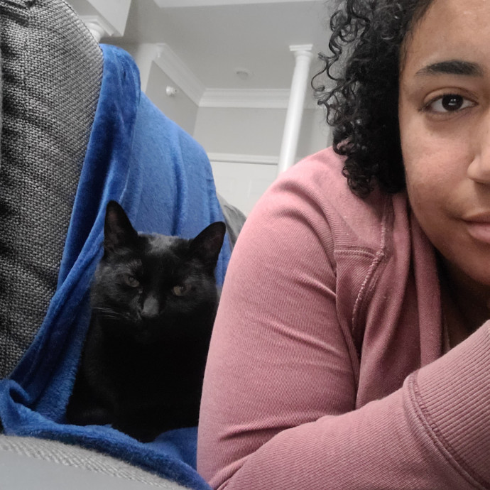 In Purrfect Harmony