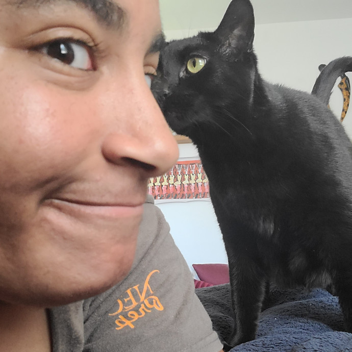 In Purrfect Harmony photo 3