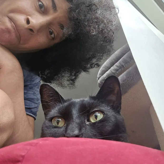 In Purrfect Harmony photo 2