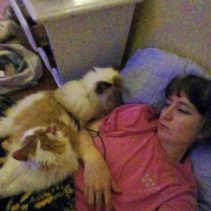 Dependable Cat Lady Available Now photo 3